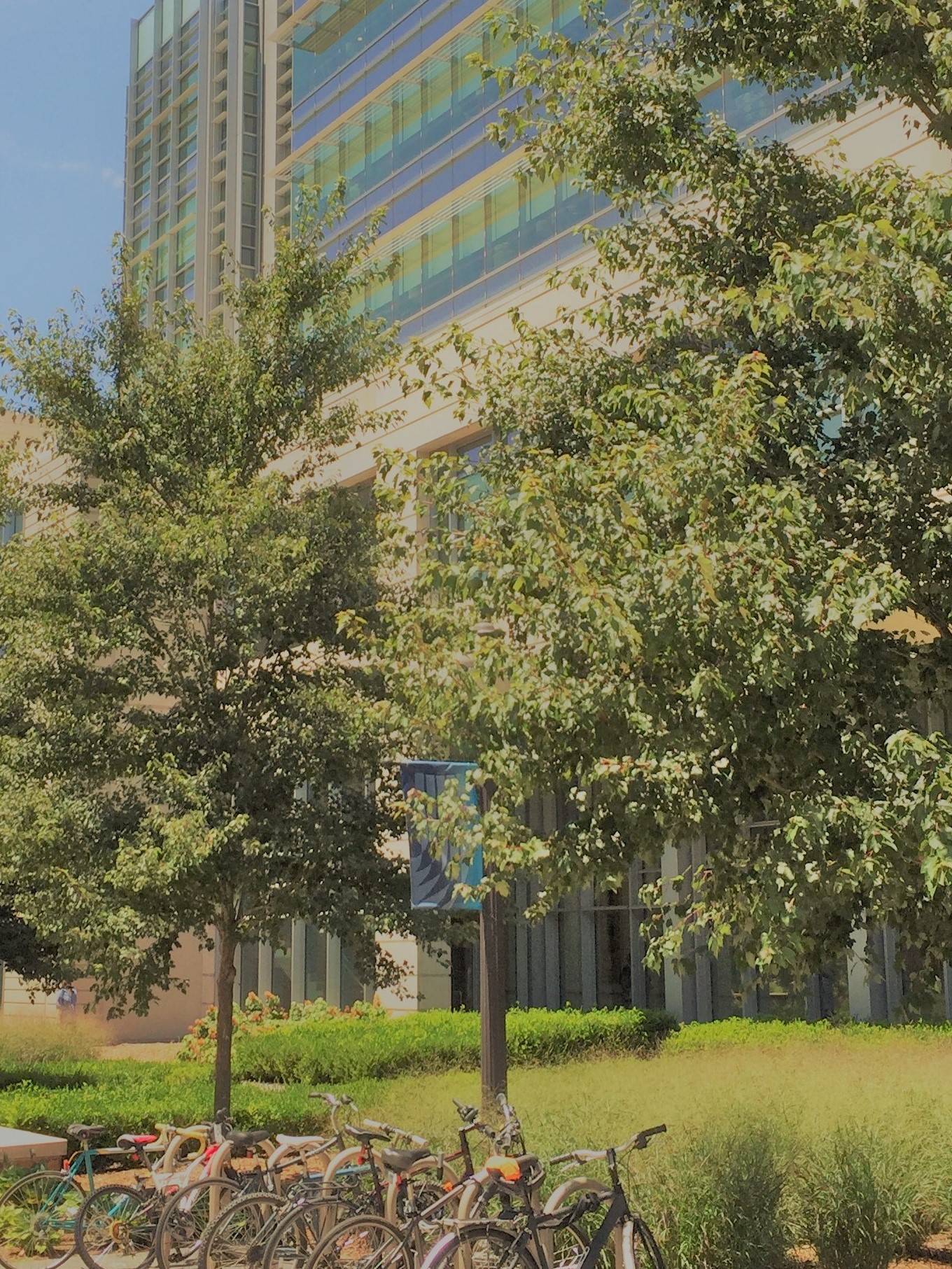 default image of Duke University Medical Center